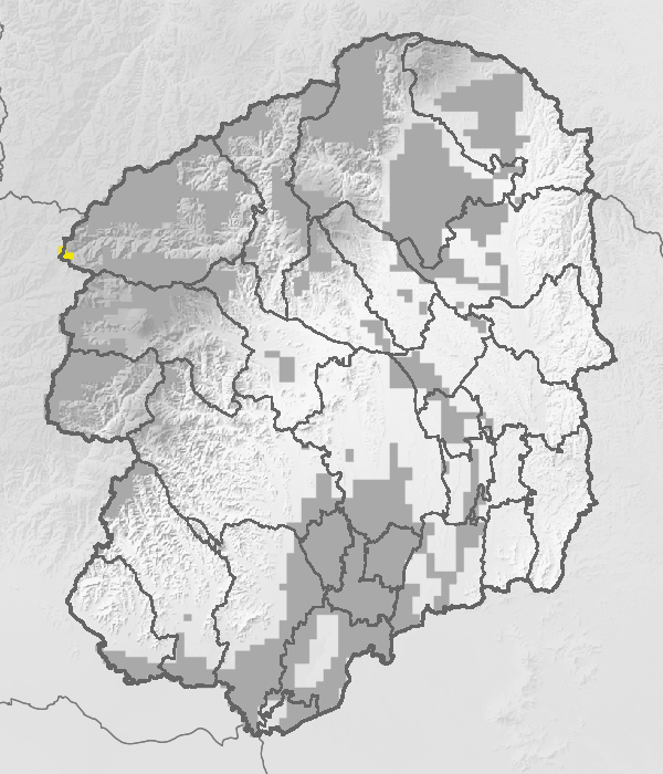土砂災害危険度情報
